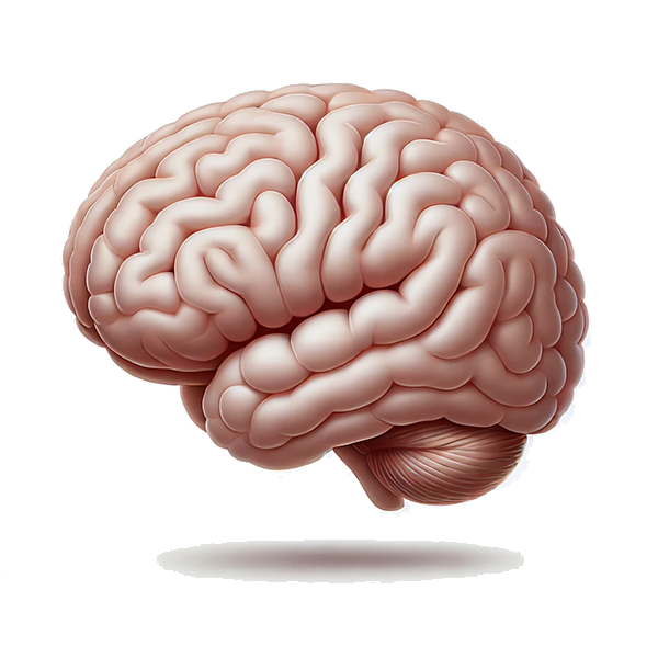 Visualisation de la performance mentale